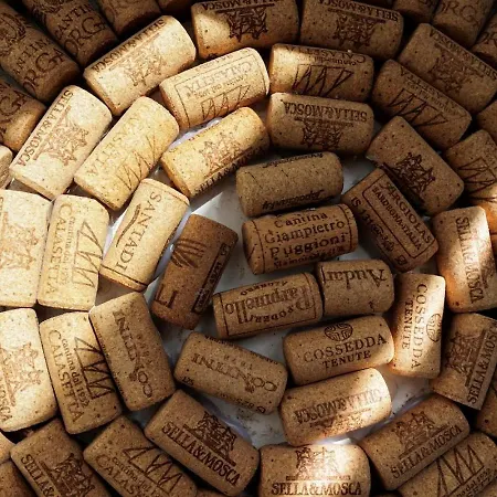 Boutique Flat In Old Town *